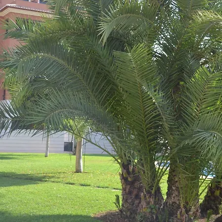 Jardines De Marinas - Royal Apartment Denia
